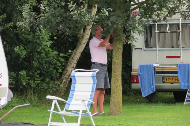 Tourist-Info-Het-Reestdal_CT_overnachten_campings_Morene-Hoeve