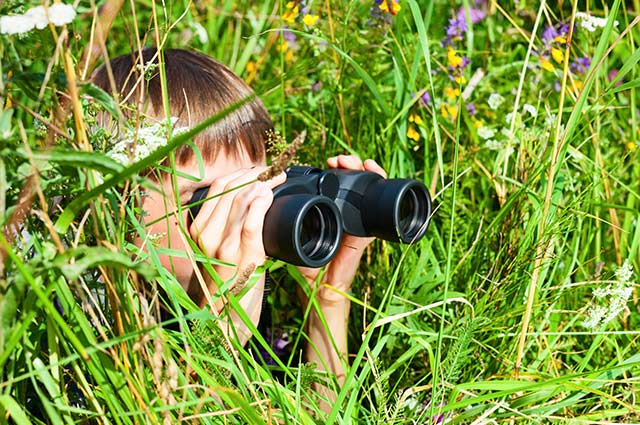 Tourist-Info-Punt-Het-Reestdal_CT_activiteit-kinderen-natuur-ontdekken