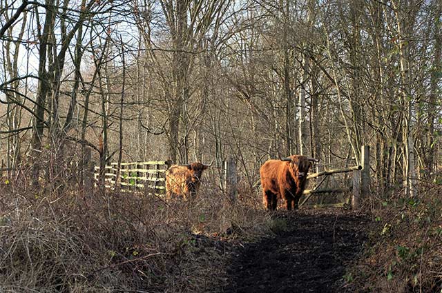 Tourist-Info-Punt-Het-Reestdal_CT_natuur-tuinen_Takkenhoogte