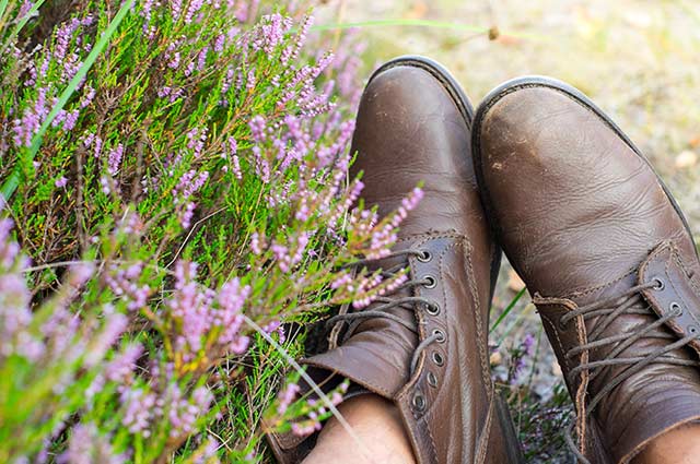 Tourist-Info-Punt-Het-Reestdal_CT_natuur-wandelen-heideveld