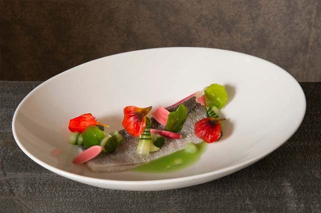Tourist-Info-Het-Reestdal-CT_etendrinken_restaurants_chateauhotel-restaurant-De-Havixhorst
