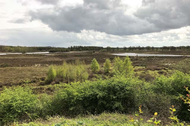 Tourist-Info-Het-Reestdal_CT_natuur-tuinen_Takkenhoogte-vennen