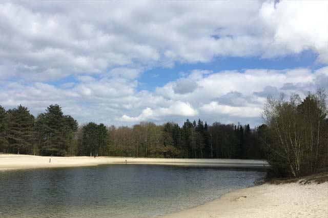 Tourist-Info-Punt-Het-Reestdal_CT_bekijken-doen_fietsen_fietsroutes_Zwarte-Dennenroute