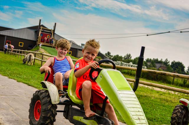 Tourist-Info-Het-Reestdal_CT_bekijkendoen_kinderen_leuke-activiteiten-speeltuin-Drentse-Koe-Ruinerwold-02