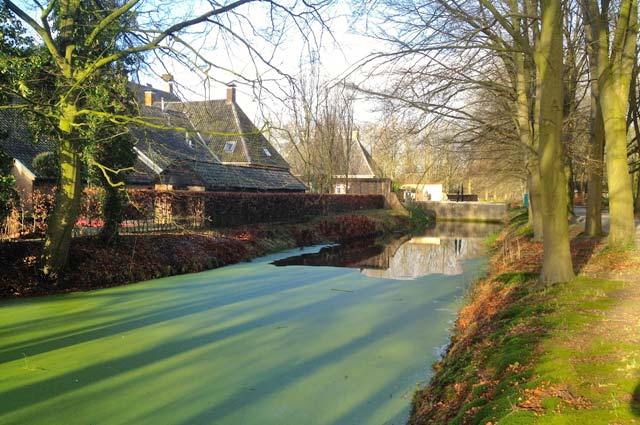 Tourist-Info-Het-Reestdal_CT_kunst-cultuur_erfgoed_havezate-havezathe-de-Havixhorst-gracht-de-Wijk