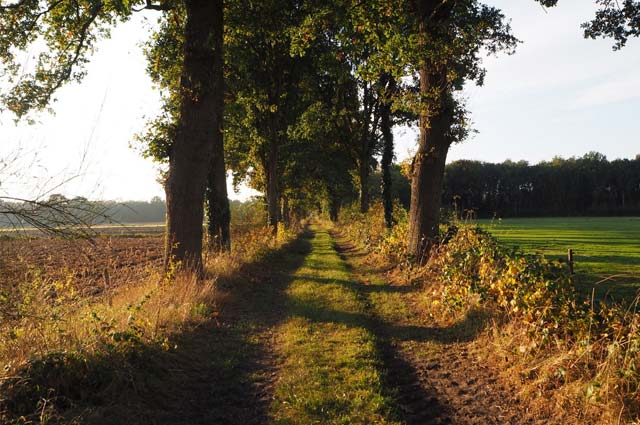 Tourist-Info-Het-Reestdal_CT_kunst-cultuur_erfgoed_kerk-ijhorst-allee-kerkenpad