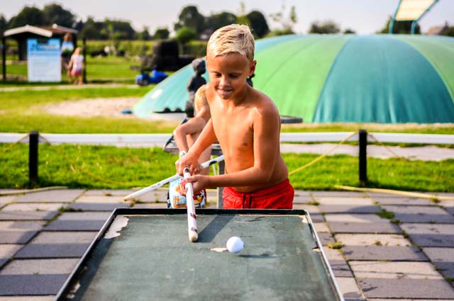 Tourist-Info-Het-Reestdal_CT_bekijkendoen_recreatie-vrije-tijd_actief-sportief_overige-balsporten_boerenbiljart-Drentse-Koe-Ruinerwold