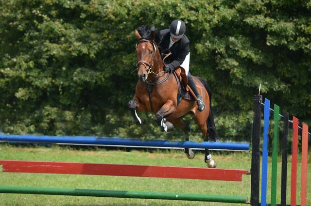 concours-hippique-paarden