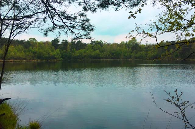 Tourist-Info-Het-Reestdal_natuur-tuinen_Wildenberg-Rabbinge-spookmeer