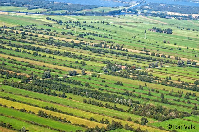 Tourist-Info-Het-Reestdal_natuur-tuinen_Staphorsterveld-Olde-Maten-Slagenlandschap