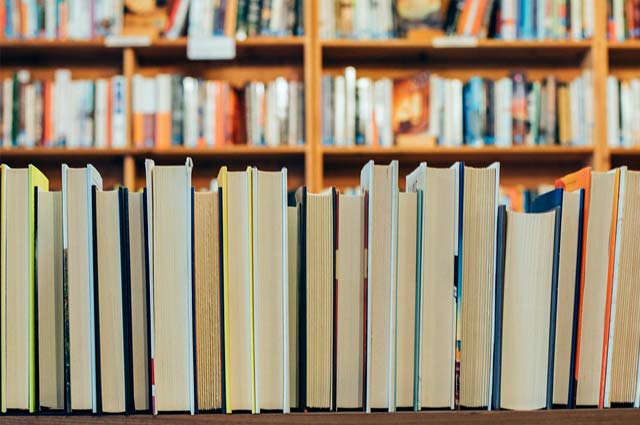 Tourist-Info-Punt-Het-Reestdal_praktische-info_internet-mogelijkheden_bibliotheek-Balkbrug