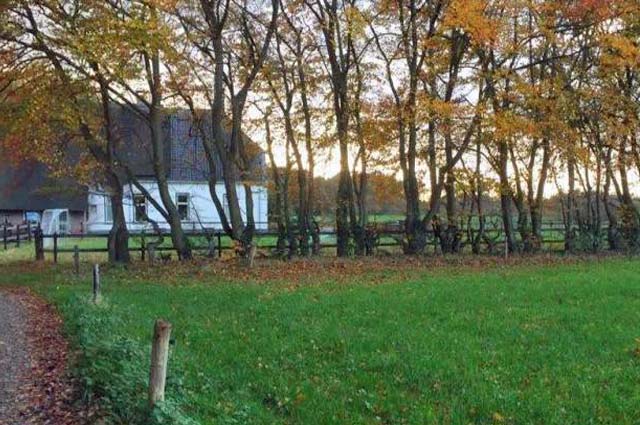 booming-bomen-route-Balkbrug