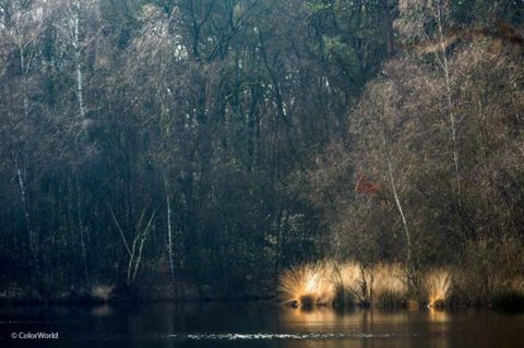 mysterie Spookmeer Wildenberg