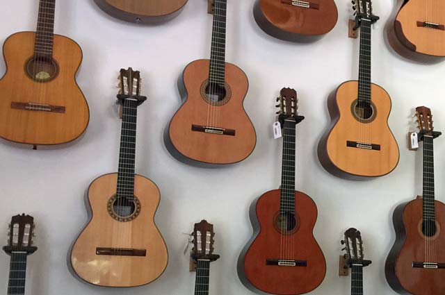 fellowsip of accoustics gitaren