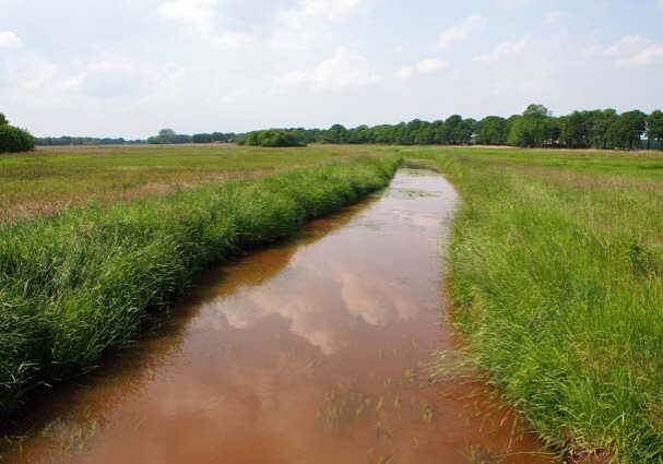 wandelroute-kunstroute-oud-avereest