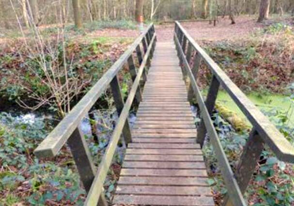 Tourist-Info-Het-Reestdal_CT_bekijken-doen_wandelen_wandelroutes_Beleef-Haardennen