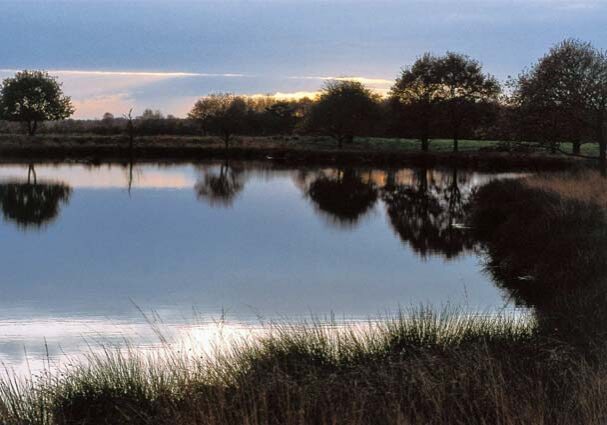 Tourist-Info-Het-Reestdal_CT_bekijken-doen_wandelen_wandelroutes_het-zwarte-gat-Schottersveld-Jaap-de-Vries