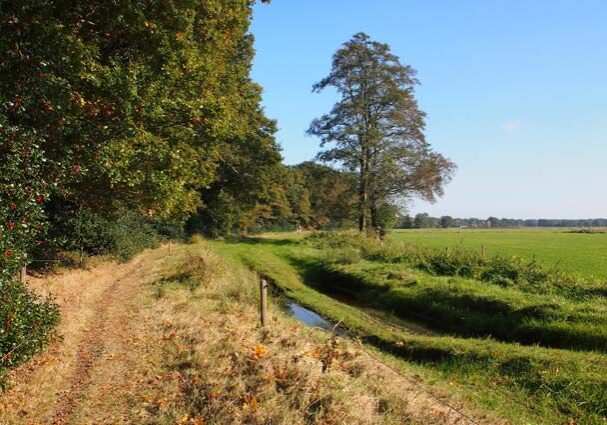 Tourist-Info-Het-Reestdal_CT_bekijken-doen_wandelen_wandelroutes_kuierroute-IJhorst