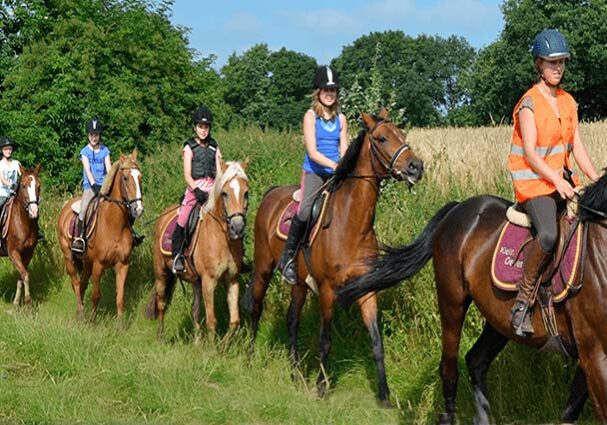 Tourist-Info-Het-Reestdal_CT_bekijkendoen_recreatie-vrije-tijd_paardensport_buitenritten_manege-Klein-Oever-accommodatie-Balkbrug