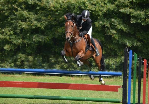 concours-hippique-paarden
