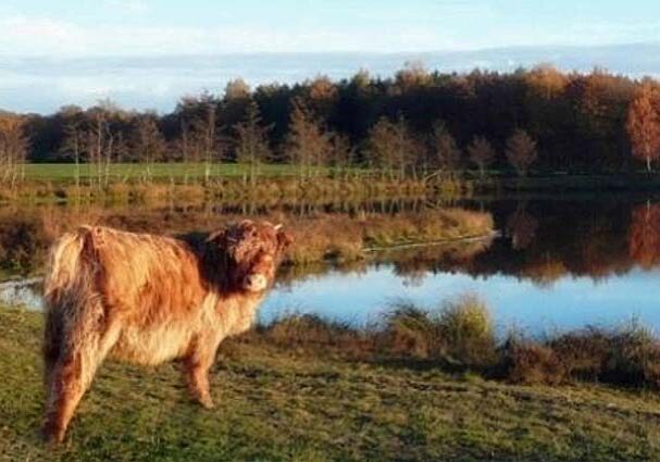 Tourist-Info-Het-Reestdal_CT_bekijkendoen_recreatie-vrije-tijd_trail-running-Reest-Ommerschans