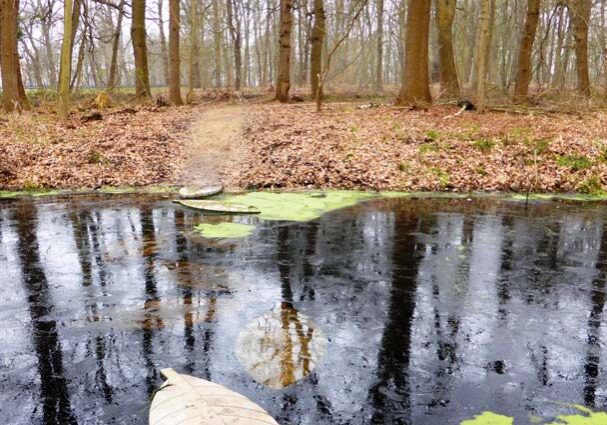 Tourist-Info-Het-Reestdal_CT_bekijkendoen_recreatie-vrije-tijd_trail-running-Schans-water