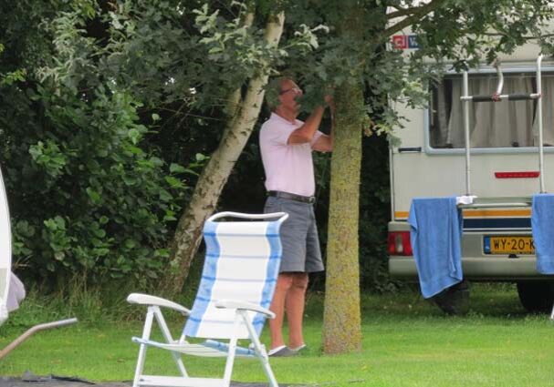 Tourist-Info-Het-Reestdal_CT_overnachten_campings_Morene-Hoeve