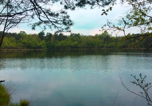 Tourist-Info-Het-Reestdal_natuur-tuinen_Wildenberg-Rabbinge-spookmeer