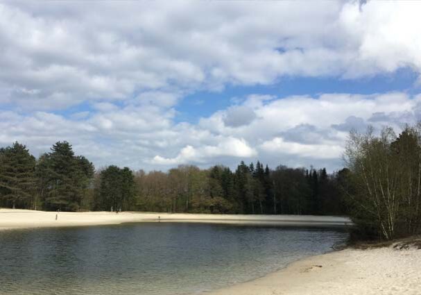 Tourist-Info-Punt-Het-Reestdal_CT_bekijken-doen_fietsen_fietsroutes_Zwarte-Dennenroute