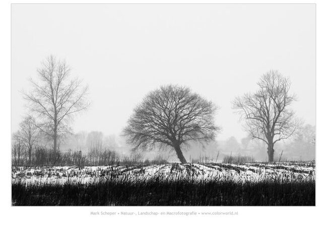 Winter Reest 05